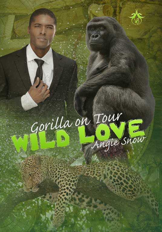 Gorilla on Tour