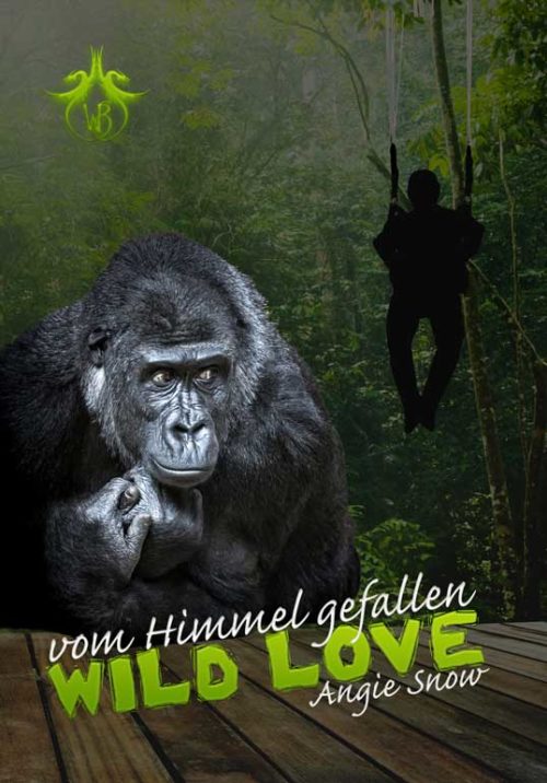 Vom Himmel gefallen